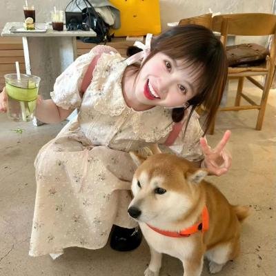 喵星少年漂流记